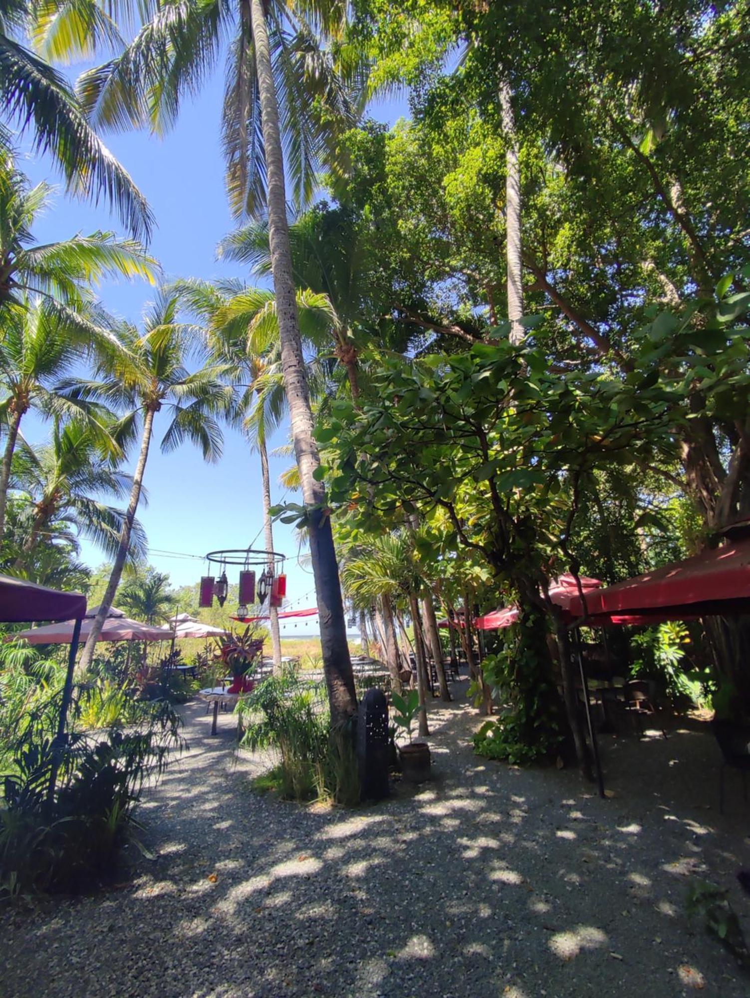 Hotel Laguna Del Cocodrilo Tamarindo Exterior foto