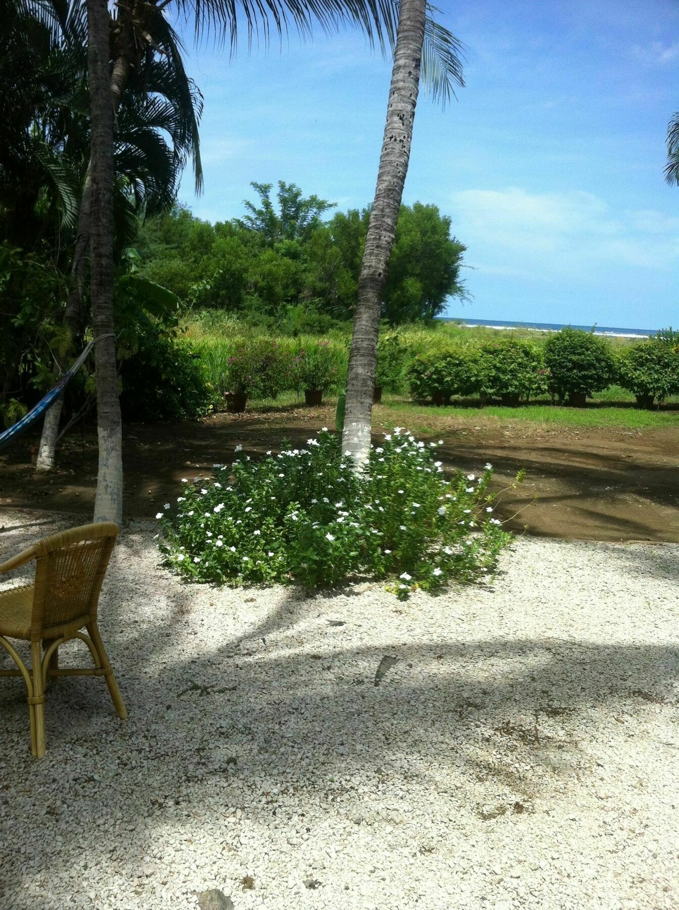 Hotel Laguna Del Cocodrilo Tamarindo Exterior foto